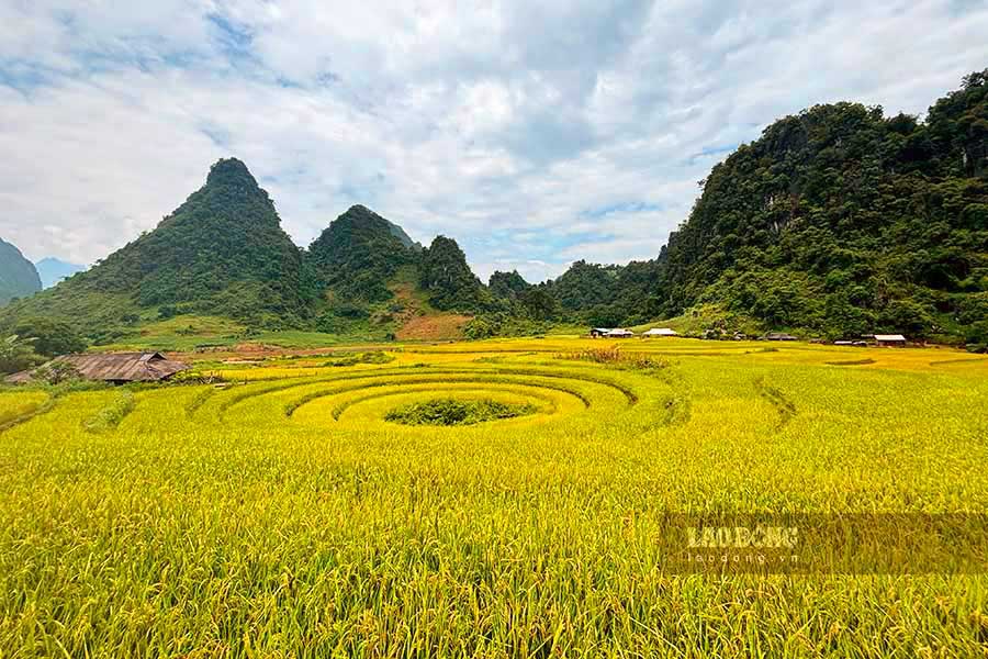 Giữa lưng chừng núi đá hùng vĩ, ruộng bậc thang “Mâm Ngọc” tại bản Háng Khúa, xã Sín Chải, hiện lên như một tuyệt tác nghệ thuật. Khi từng khoanh ruộng tròn xếp chồng lên nhau nhỏ hẹp ở đáy và mở rộng dần lên theo độ cao.