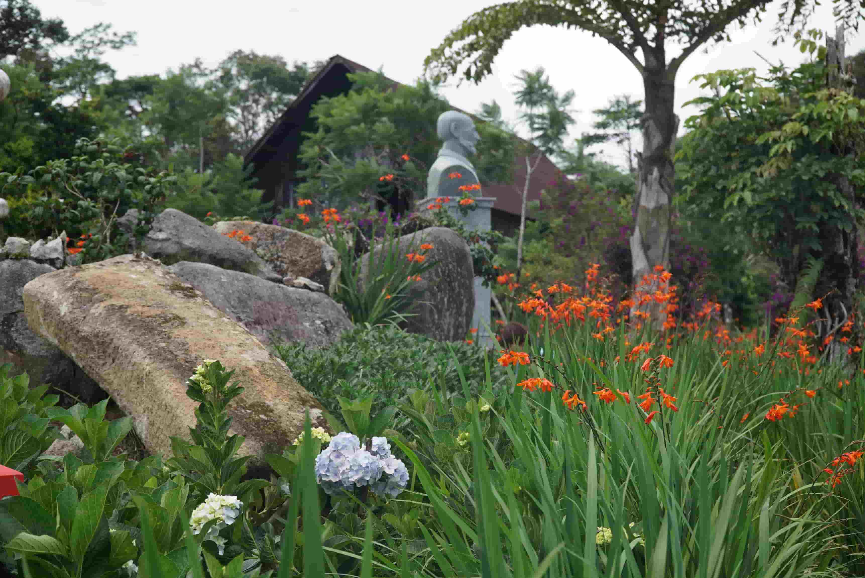 On March 20, 2023, this place was recognized as a National Historical Monument. In front of the house, a bust of Dr. Alexandre Yersin was erected by the Dr. Yersin Admiration Association in October 2023. According to the representative of the tourism management unit, since the tour opened, the unit has welcomed 3-4 groups of visitors (about 100 people) per day at peak times.