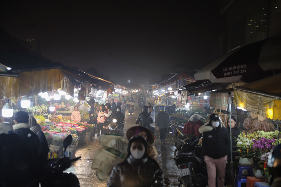 Quang An flower market has become a familiar place chosen by many people to buy fresh flowers. Photo: Thao Trang