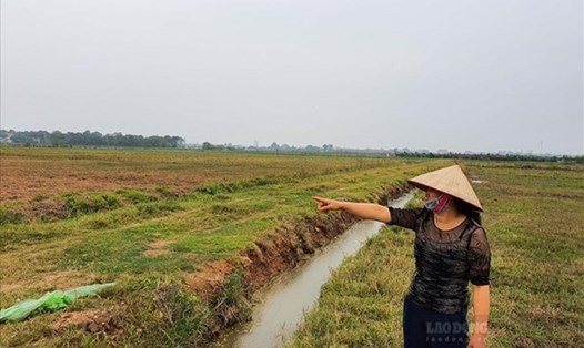 Thủ tục chuyển đất nông nghiệp lên đất thổ cư theo Luật mới. Ảnh minh họa: Phan Anh