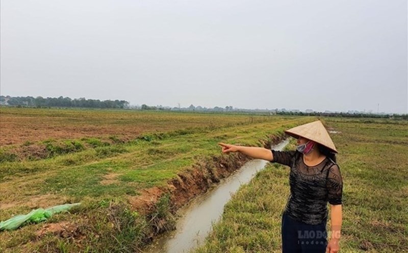 Thủ tục chuyển đất nông nghiệp lên đất thổ cư theo Luật mới. Ảnh minh họa: Phan Anh