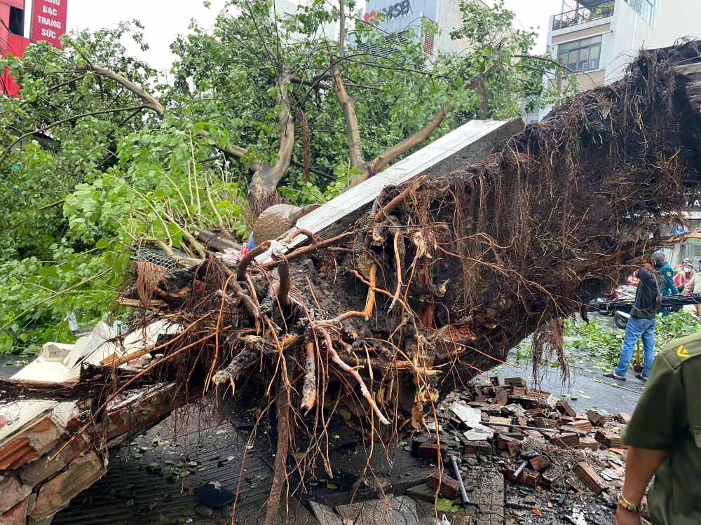 Trees fell on Cach Mang Thang Tam street and Nguyen Thi Dieu street. Photo: Anh Tu