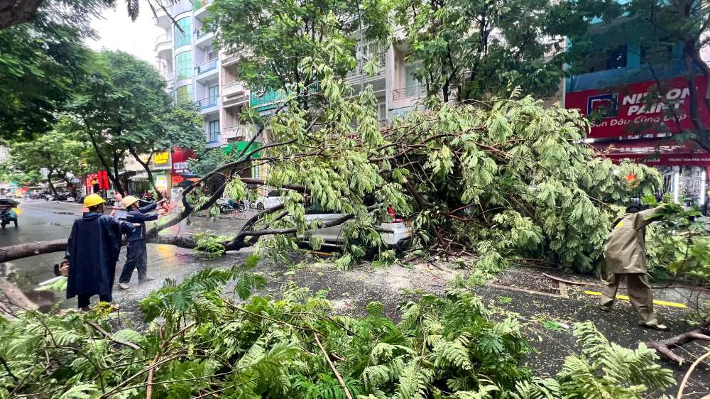 Nhiều cây đổ đè trúng người trong mưa dông ở TPHCM
