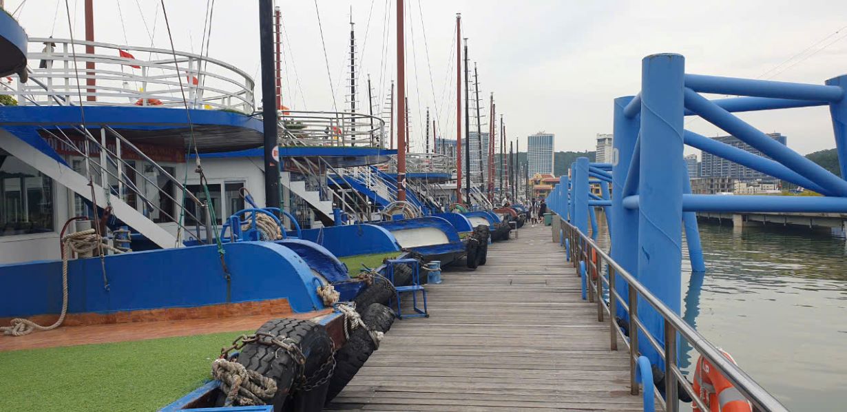 Toàn bộ tàu du lịch vịnh Hạ Long đã nhận được thông tin về siêu bão Yagi. Ảnh: Nguyễn Hùng