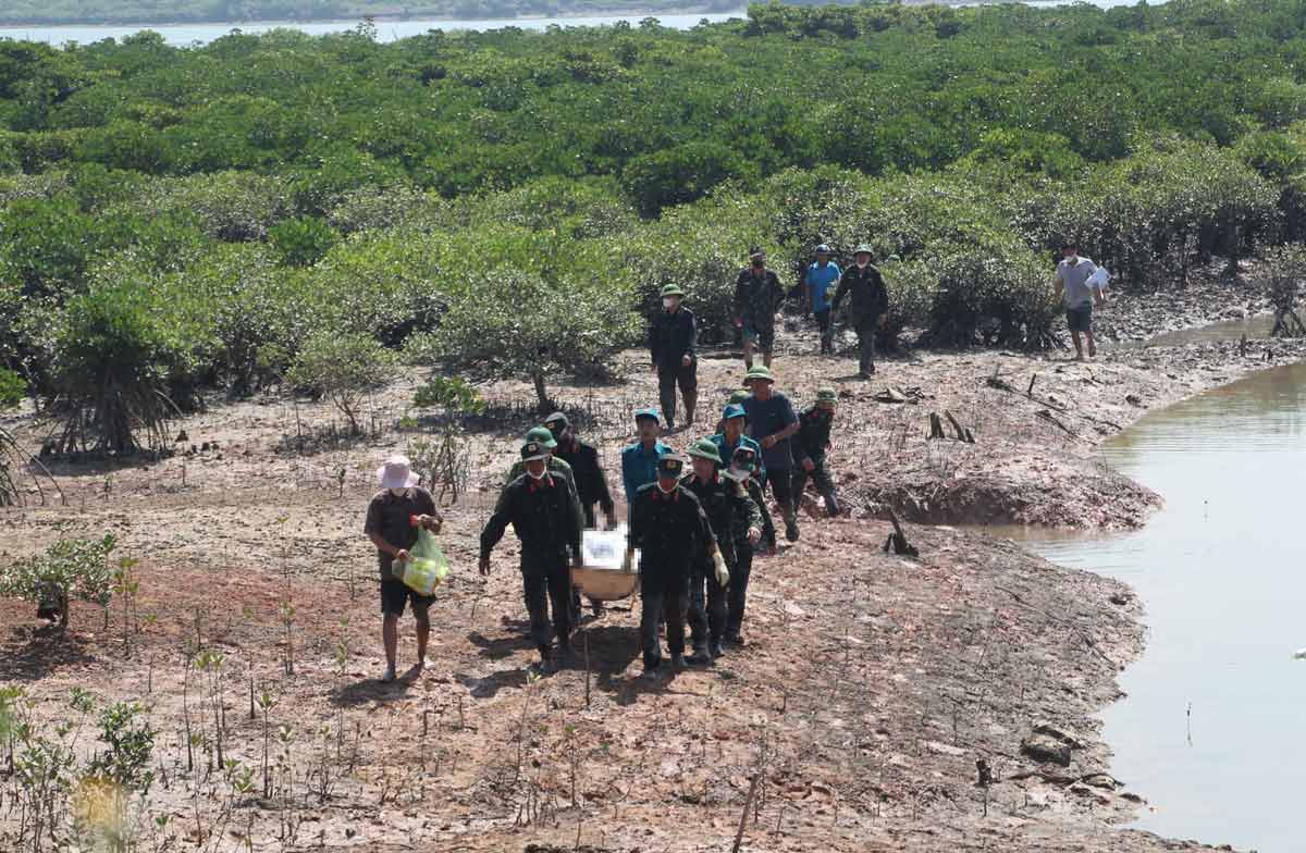 Lực lượng chức năng tìm thấy thi thể nạn nhân tại khu vực ngoài đê cống Bát Bè, khu Quỳnh Phú, phường Minh Thành, TX Quảng Yên, tỉnh Quảng Ninh. Ảnh: Cổng TTĐT Quảng Yên
