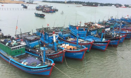 Tàu cá chuyên đánh bắt xa bờ neo đậu ở vùng biển tỉnh Quảng Trị. Ảnh: Tiến Nhất