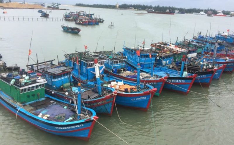 Tàu cá chuyên đánh bắt xa bờ neo đậu ở vùng biển tỉnh Quảng Trị. Ảnh: Tiến Nhất