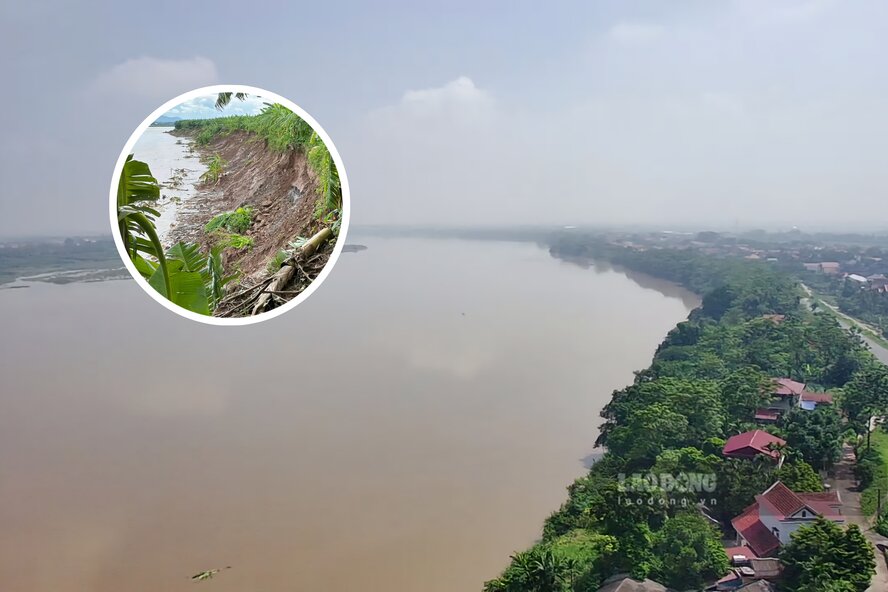 Nhà thầu nào sẽ thi công tuyến kè xử lý sạt lở sông Hồng đoạn qua địa phận huyện Lâm Thao? Ảnh: Tô Công