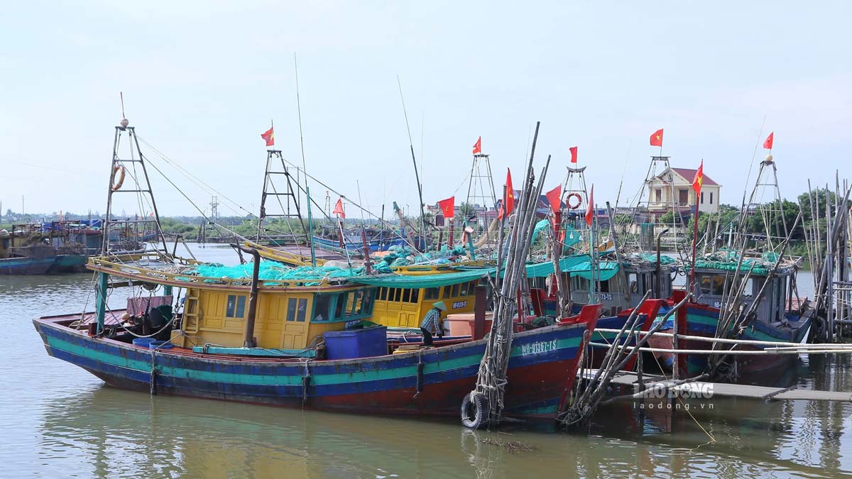 Khu neo đậu tàu thuyền tránh trú bão kết hợp cảng cá Hà Lạn (huyện Giao Thủy) có nhiều tàu thuyền đã về tránh trú bão số 3. Ảnh: Hà Vi