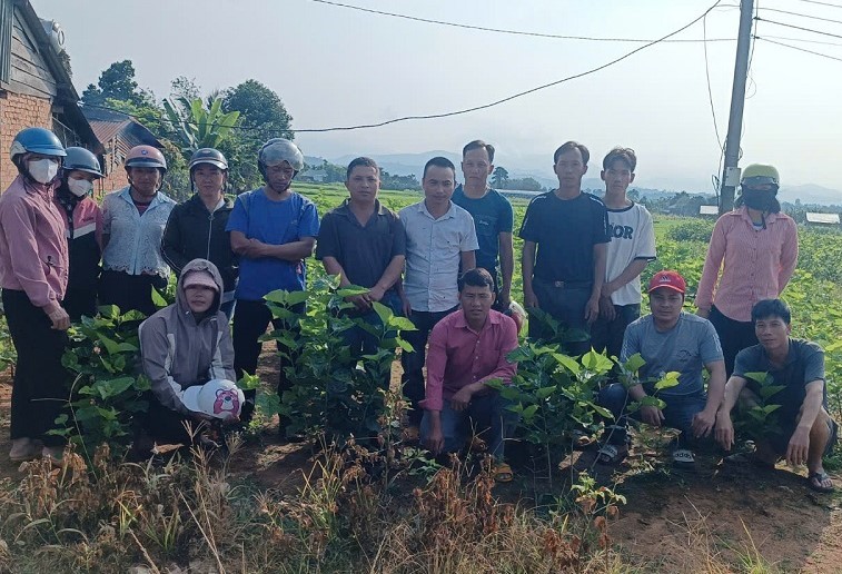 Many students after agricultural training know how to apply effective garden development. Photo: Bao Trung
