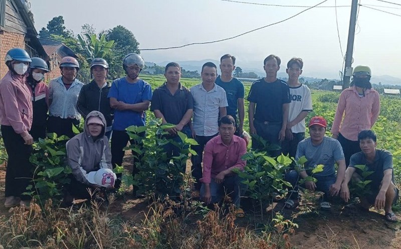 Many students after agricultural training know how to apply effective garden development. Photo: Bao Trung