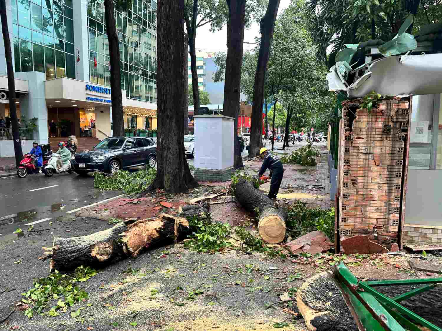 Cổng và một ôtô đậu ở Đài Khí tượng Thủy văn khu vực Nam bộ bị hư hại nặng do cành cây rơi trúng.  Ảnh: Minh Quân