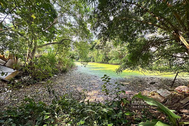 “Currently, the lake is quite polluted after many years of not being renovated and has become a habitat for insects such as mosquitoes, gnats... Even every time there is heavy rain, the water level rises, causing the path along the lake to be flooded and snakes and centipedes to appear, which is extremely dangerous,” said Mr. Hung.