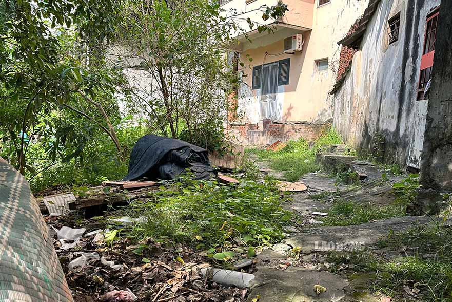 According to local residents, the small Kim Lien lake looks like a swamp in the middle of a residential area with overgrown trees. Therefore, local residents hope that the project to renovate the small lake will soon be invested in and implemented to ensure environmental hygiene.