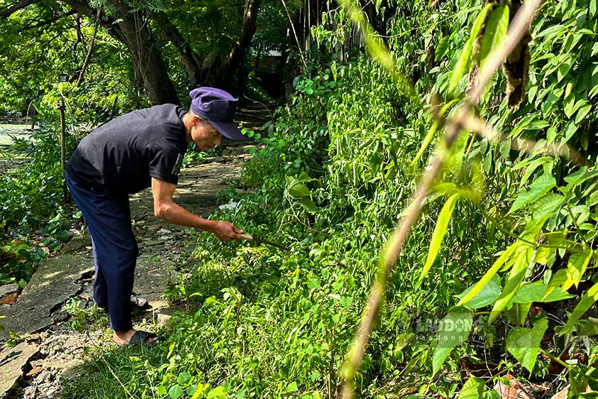 Hanoi City has approved the adjustment of the project boundary to limit compensation and site clearance work. However, some households in the area have not agreed, leading to the inability to implement the renovation of items at the small lake.