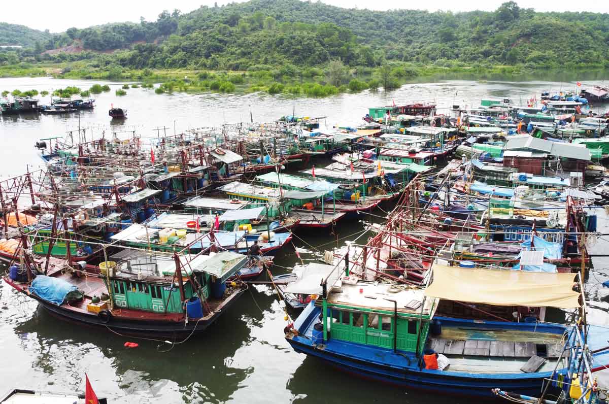 Tàu cá các loại về điểm tránh trú bão Cái Xà Cong, TP Hạ Long, tỉnh Quảng Ninh. Ảnh: Đoàn Hưng 
