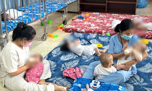 Cuộc sống mới của các trẻ bị bạo hành ở mái ấm Hoa Hồng