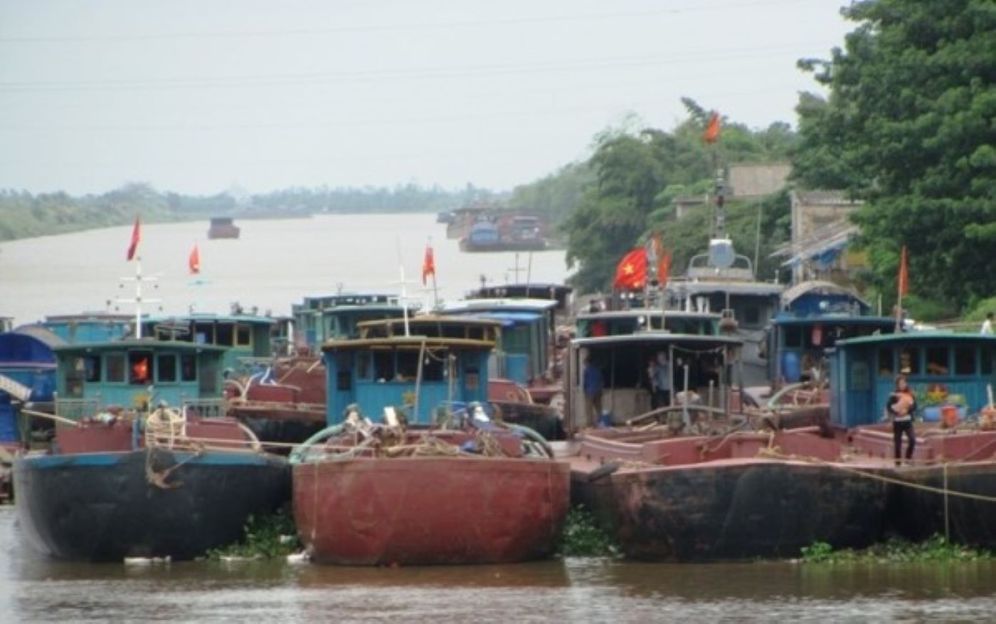 Ninh Binh boats anchored ashore to avoid storm number 3. Photo: Dieu Anh