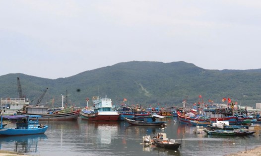 Âu thuyền và cảng cá Thọ Quang (TP Đà Nẵng) được quy hoạch là 1 trong 5 trung tâm nghề cá lớn của cả nước... Ảnh: Nguyễn Linh