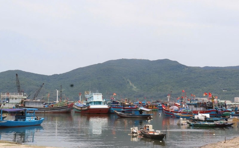 Âu thuyền và cảng cá Thọ Quang (TP Đà Nẵng) được quy hoạch là 1 trong 5 trung tâm nghề cá lớn của cả nước... Ảnh: Nguyễn Linh