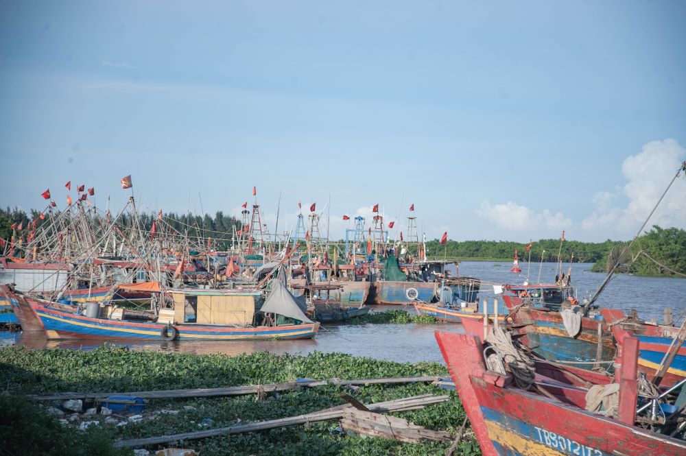 Tàu thuyền cập bến tránh trú bão ở huyện Thái Thụy, Thái Bình. Ảnh: Nam Hồng