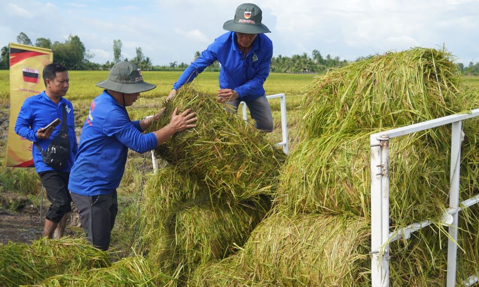 Di chuyển rơm khỏi đồng ruộng là một trong những biện pháp hiệu quả để giảm phát thải khí nhà kính. Ảnh: Phương Anh