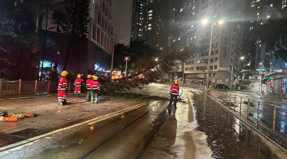 Cây đổ ở Hong Kong (Trung Quốc) do bão Yagi. Ảnh chụp màn hình