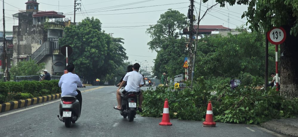 Authorities clean up a small fallen tree on Tran Thai Tong Street. Photo: Nam Hong