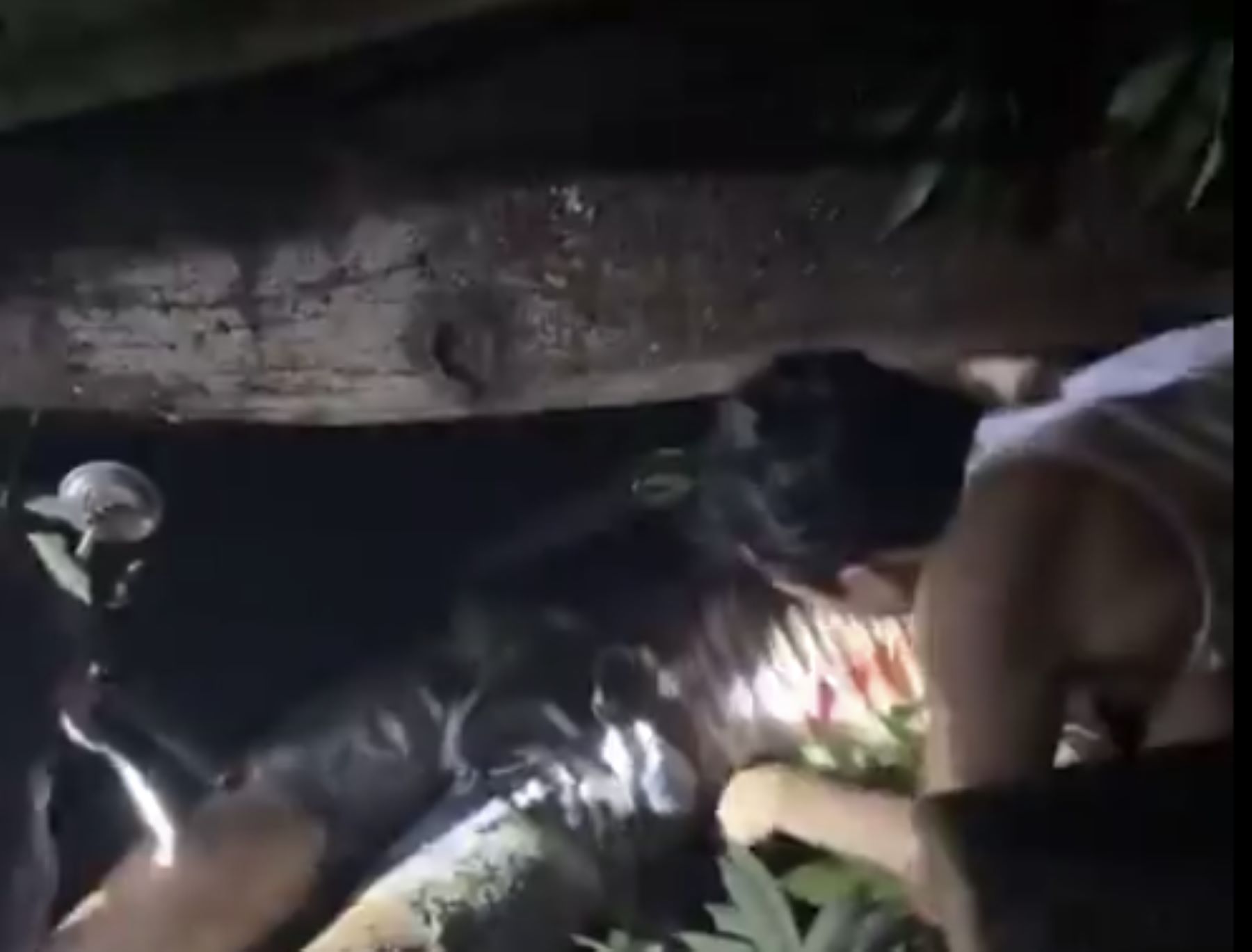 Người dân nỗ lực đưa người đàn ông bị cây đổ đè lên người ra ngoài. Ảnh cắt từ clip người dân cung cấp