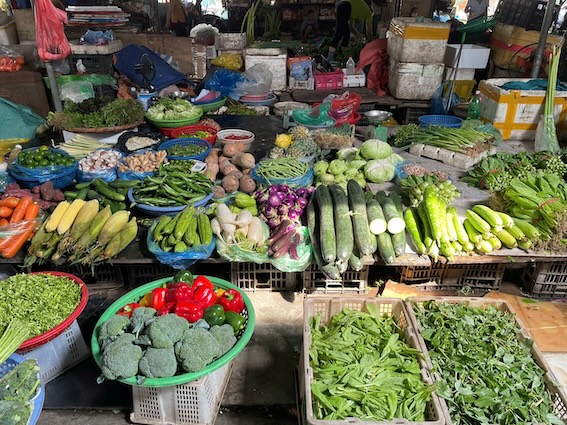 Vegetable stalls at Tam Nam Trung Yen market also have a variety of vegetables and fruits. Photo: Thanh Binh.