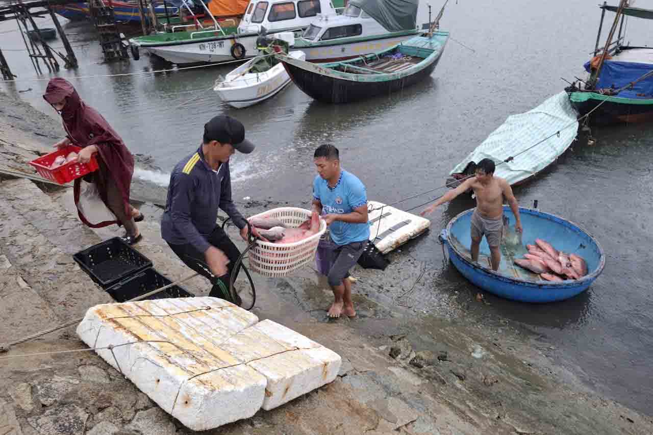 Nhóm ngư dân này đi gắng chuyển biển chiều qua, sáng nay đã cập cảng để neo tàu tránh trú bão. Ảnh: Trần Tuấn.