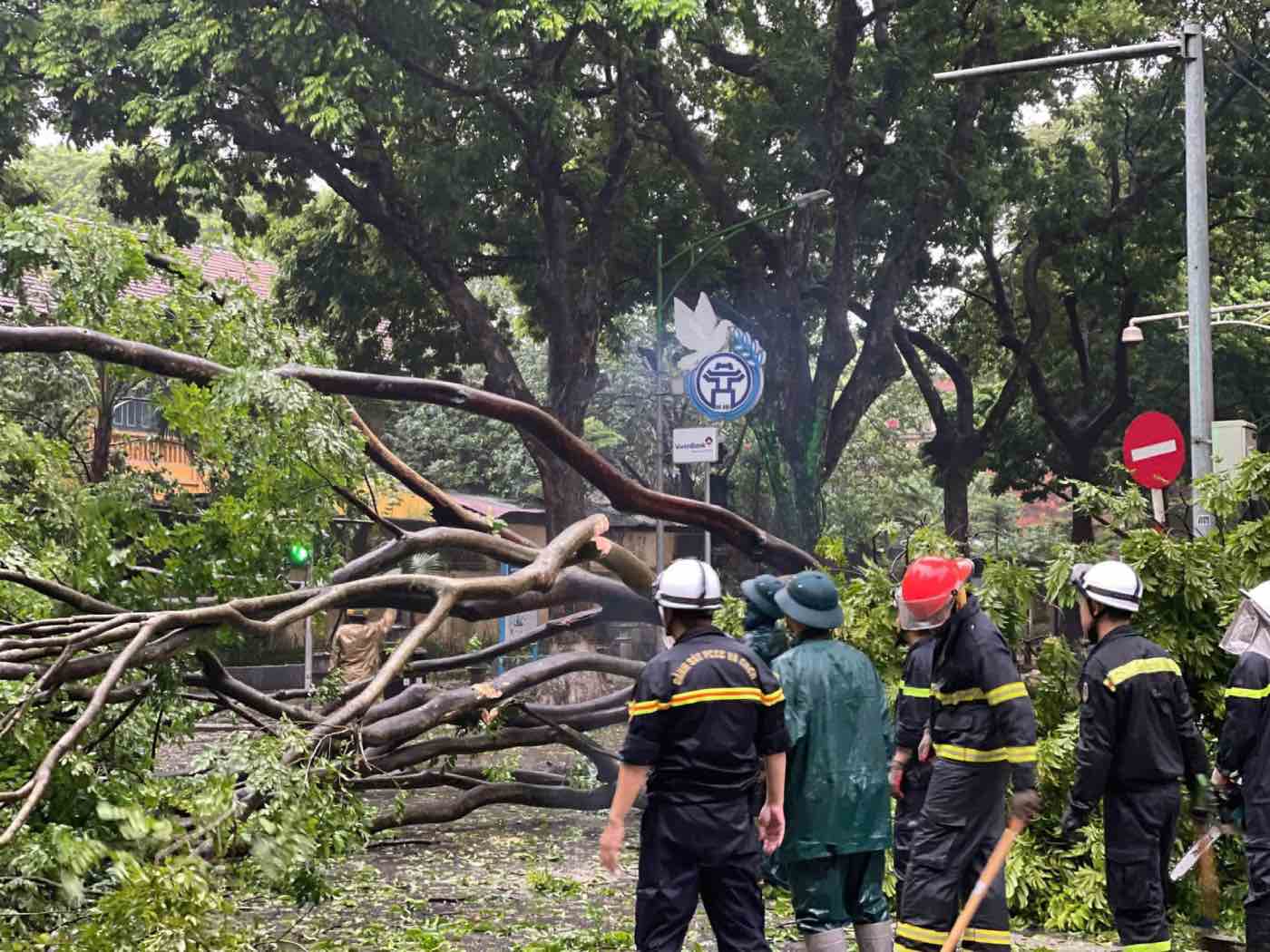 Cảnh sát giao thông, trật tự, Cảnh sát PCCC&CNCH - Công an quận, Công an các phường tăng cường lực lượng phân luồng giao thông, xử lý cây đổ, hỗ trợ người dân trên địa bàn phòng, chống siêu bão số 3.