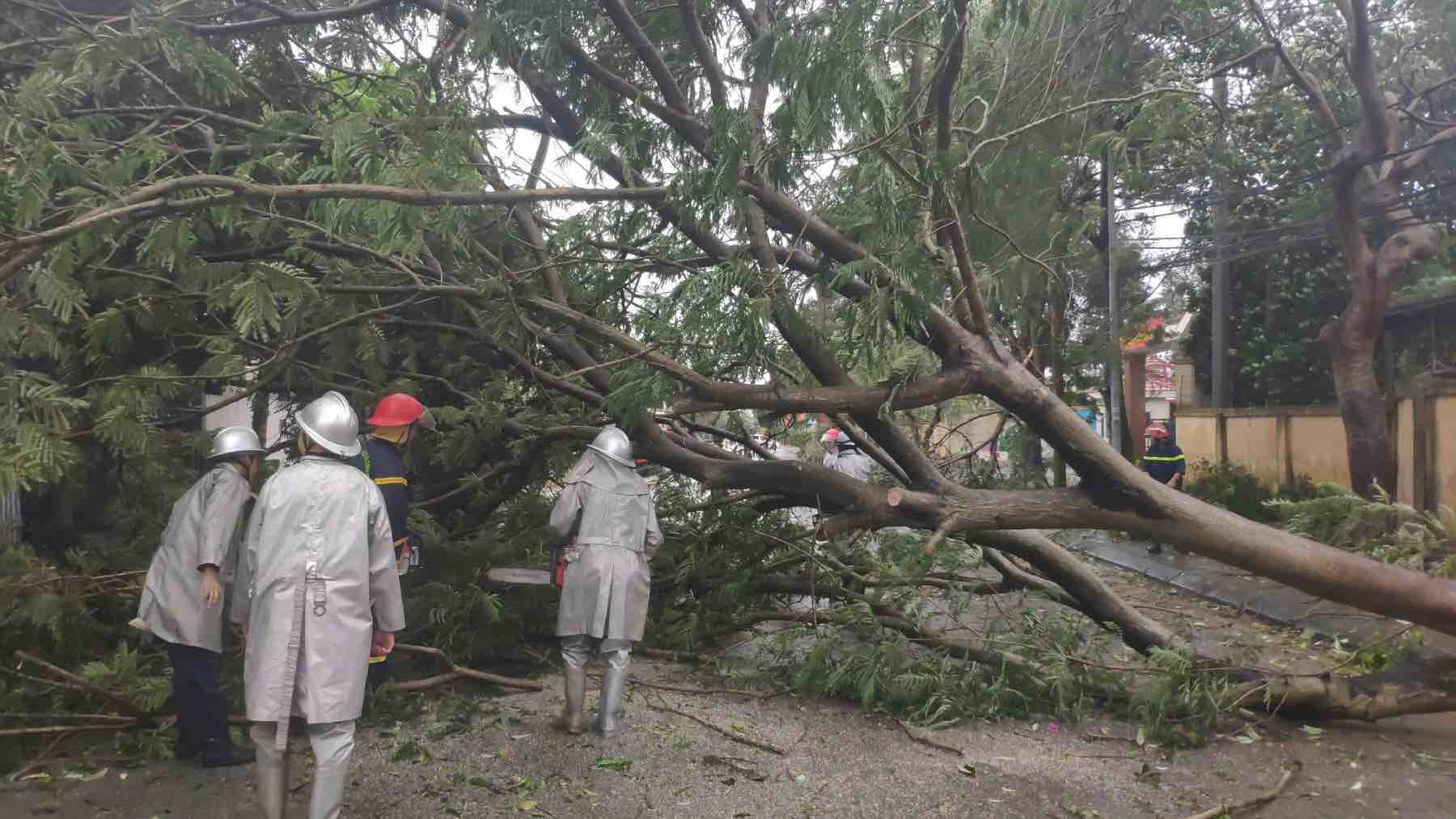 Đội Cảnh sát PCCC và CNCH, Công an huyện Sóc Sơn triển khai lực lượng khắc phục sự cố cây xanh bị đổ chắn đường giao thông khu vực gần Đền Gióng, xã Phù Linh, Sóc Sơn.