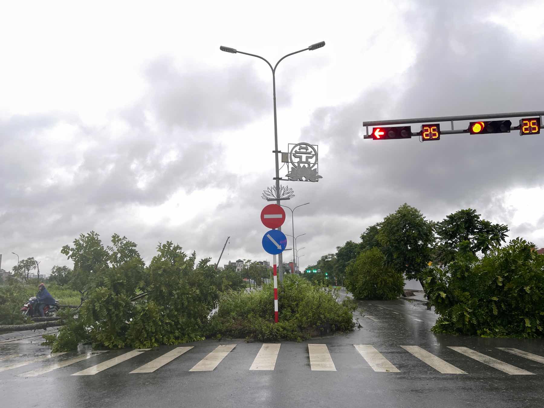 Cây cối đổ rạp trên đường sau khi bão Yagi vào Hà Nội. Các phương tiện phải leo lên vỉa hè, quay đầu xe vì cây đổ chắn ngang đường. Ảnh: Hoài Anh