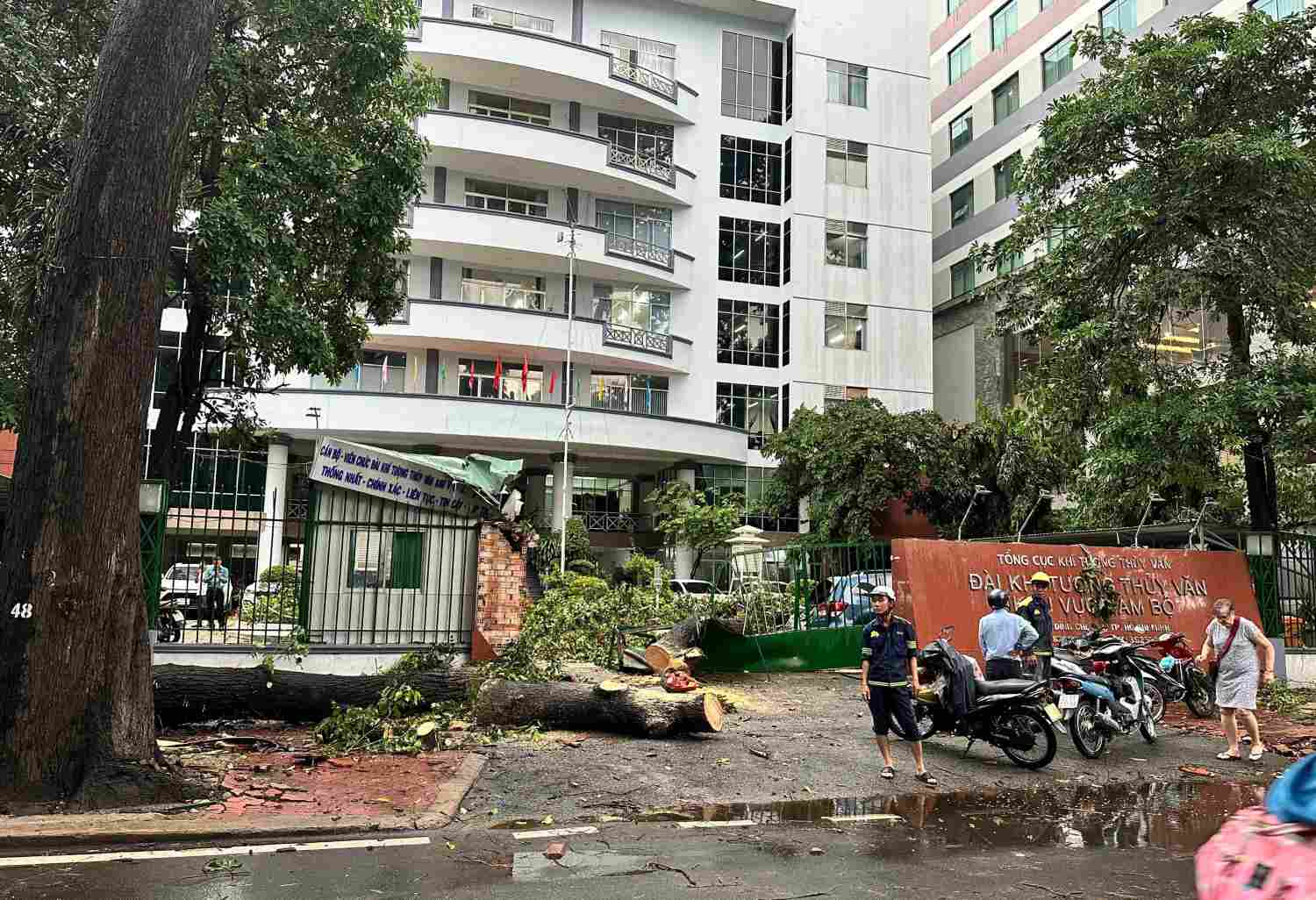 The gate and a car parked at the Southern Hydrometeorological Station (District 1, Ho Chi Minh City) were severely damaged by a falling tree branch on September 4. Photo: Minh Quan