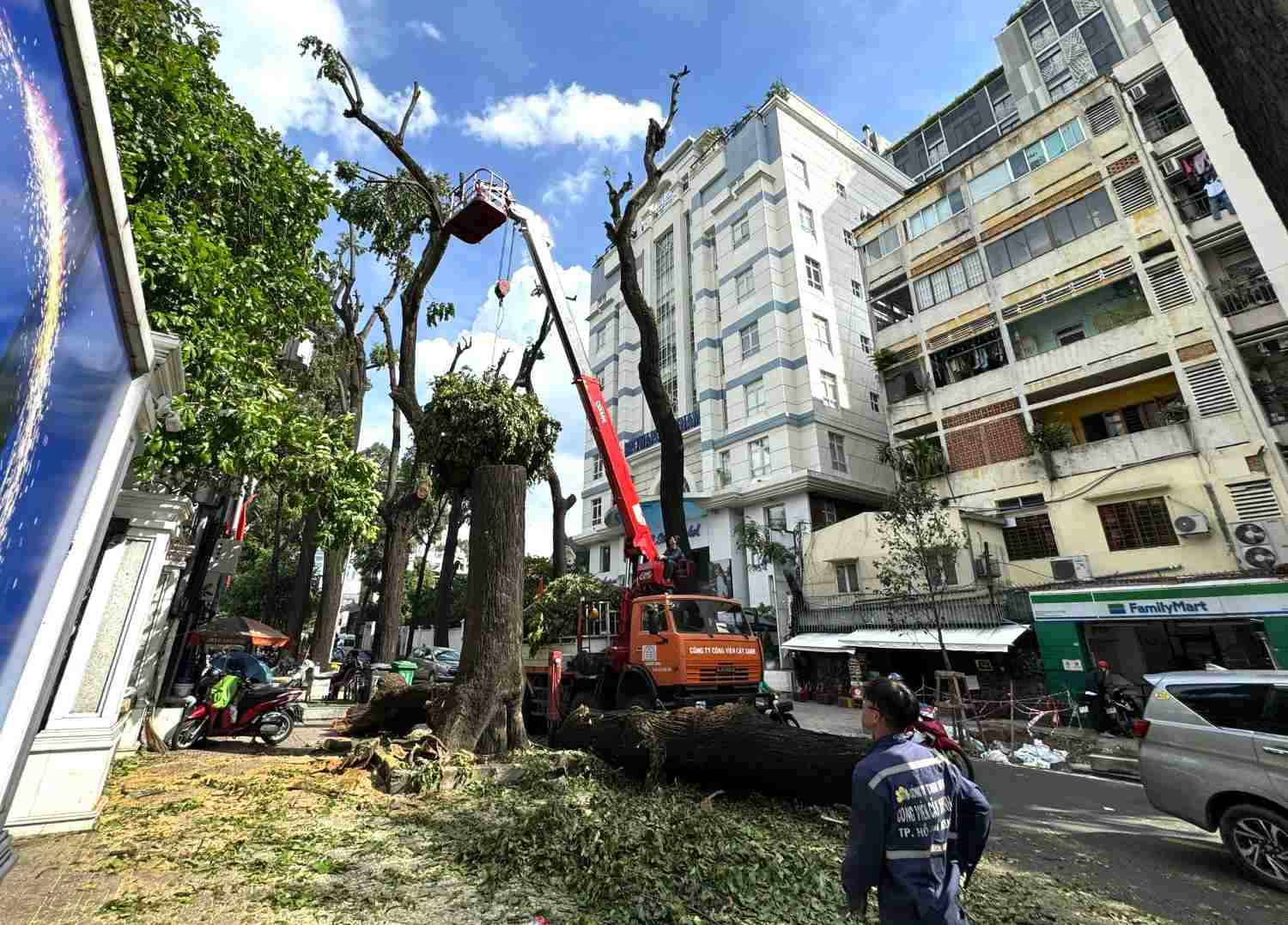 Cutting down and pruning many trees on Le Quy Don Street (District 3). Photo: Minh Quan