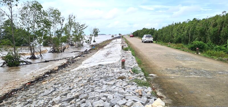 Đê biển Tây, tỉnh Cà Mau bị sạt lở nghiêm trọng. Ảnh: Nhật Hồ