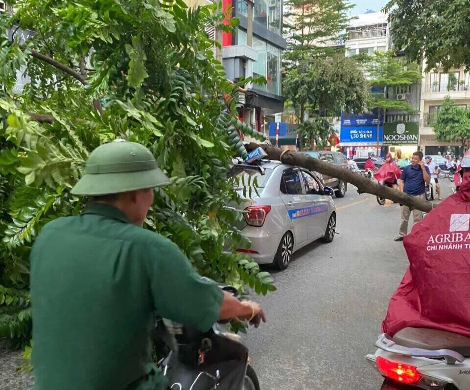 A fallen tree crushed a car on Doan Thi Diem Street, Dong Da District. Photo: Hoang Loc