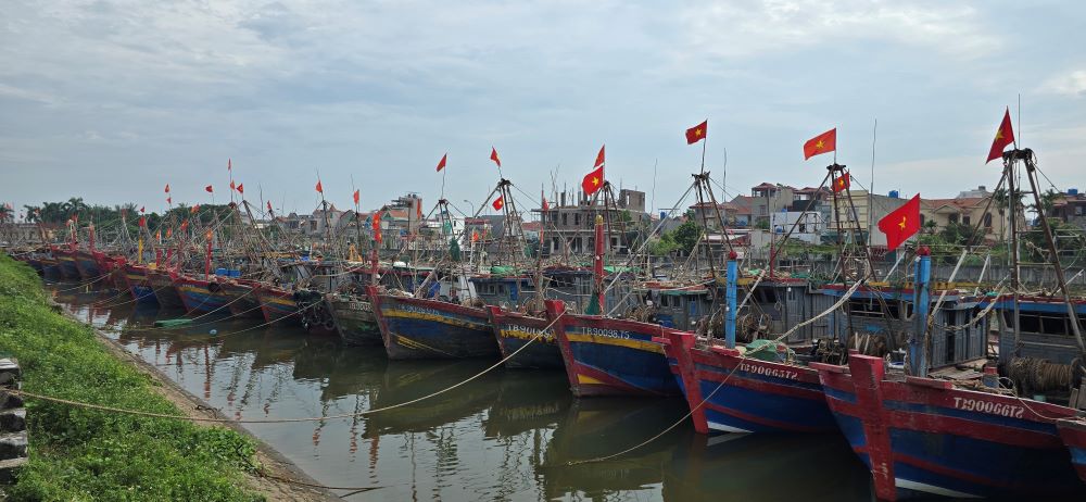 Up to now, almost all fishing boats of Thai Thuy district have docked and anchored safely. Photo: Nam Hong