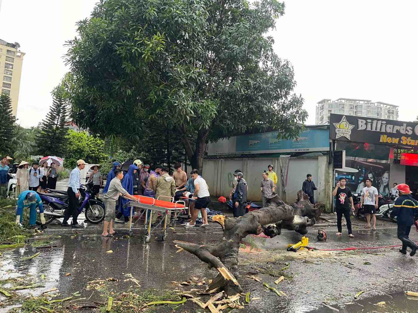 Một cây to trên đường Nguyễn Hữu Thọ (Hoàng Mai, Hà Nội) bật gốc đè trúng 2 người đi xe máy. Vụ việc xảy khiến người phụ nữ tử vong tại chỗ, người đàn ông điều khiển xe bị thương nặng ở vùng đầu. Ảnh: Gia Khiêm