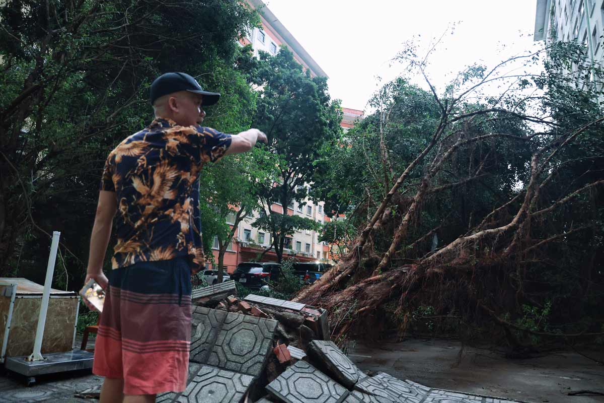 “Nghe thông tin cơn bão này mạnh nên tôi cũng rất lo lắng, nhưng chiều nay bão chưa vào mà mưa dông đã làm gãy đổ cây cối như này thì thật đáng lo ngại. Lúc chứng kiến cây nghiêng ngả đổ xuống, tôi chỉ sợ cây đè vào người đi đường hoặc các xe đỗ bên dưới gốc cây“, ông Nguyễn Hưng (Hoàng Mai, Hà Nội)  chia sẻ.