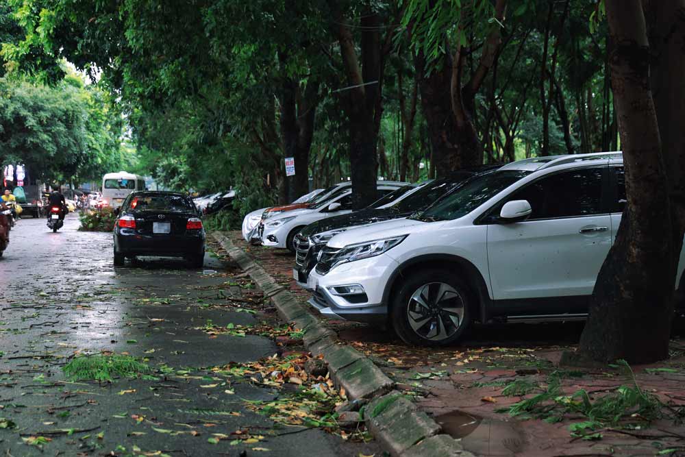 After heavy rain and strong winds this afternoon, many streets in Hanoi saw broken and fallen trees.