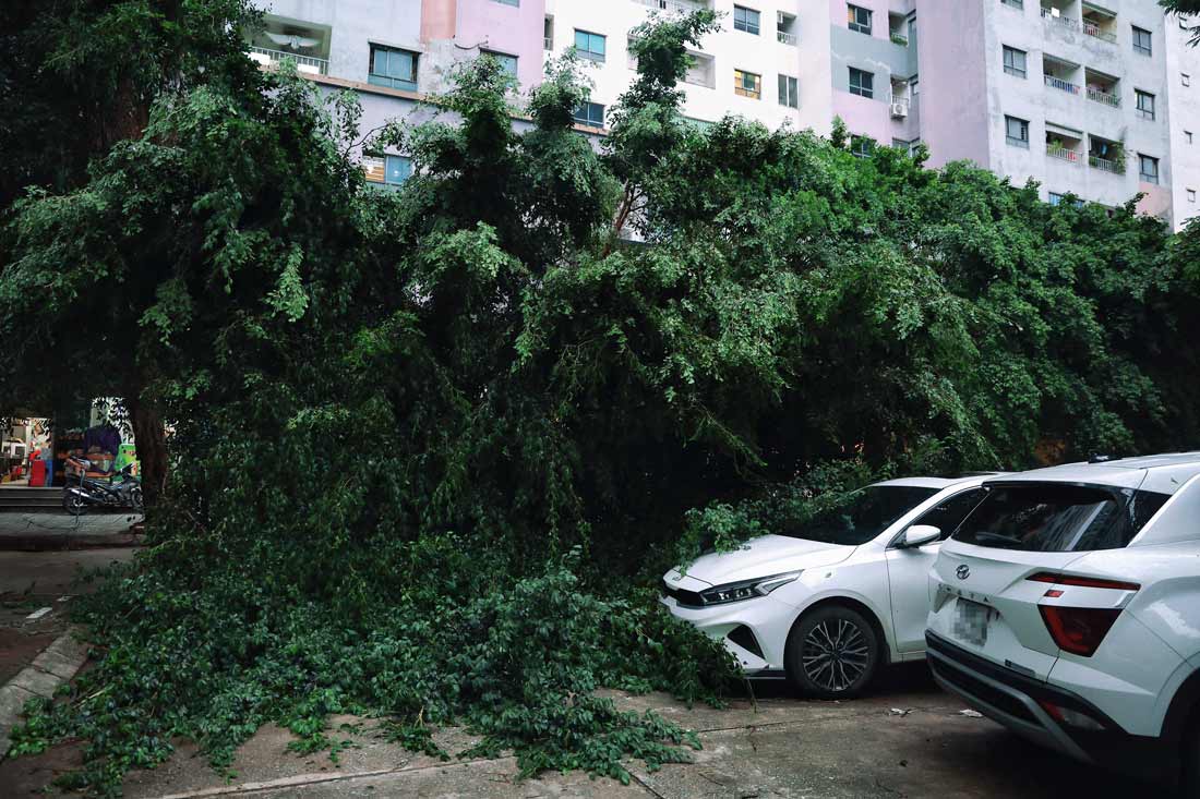 According to the National Center for Hydro-Meteorological Forecasting, due to the impact of storm No. 3, from the night of September 6, there is a possibility of sudden strong thunderstorms in the Hanoi area. The disaster prevention agency advises people to be on guard against accidents caused by falling trees, electric shock, and objects blown by the wind.