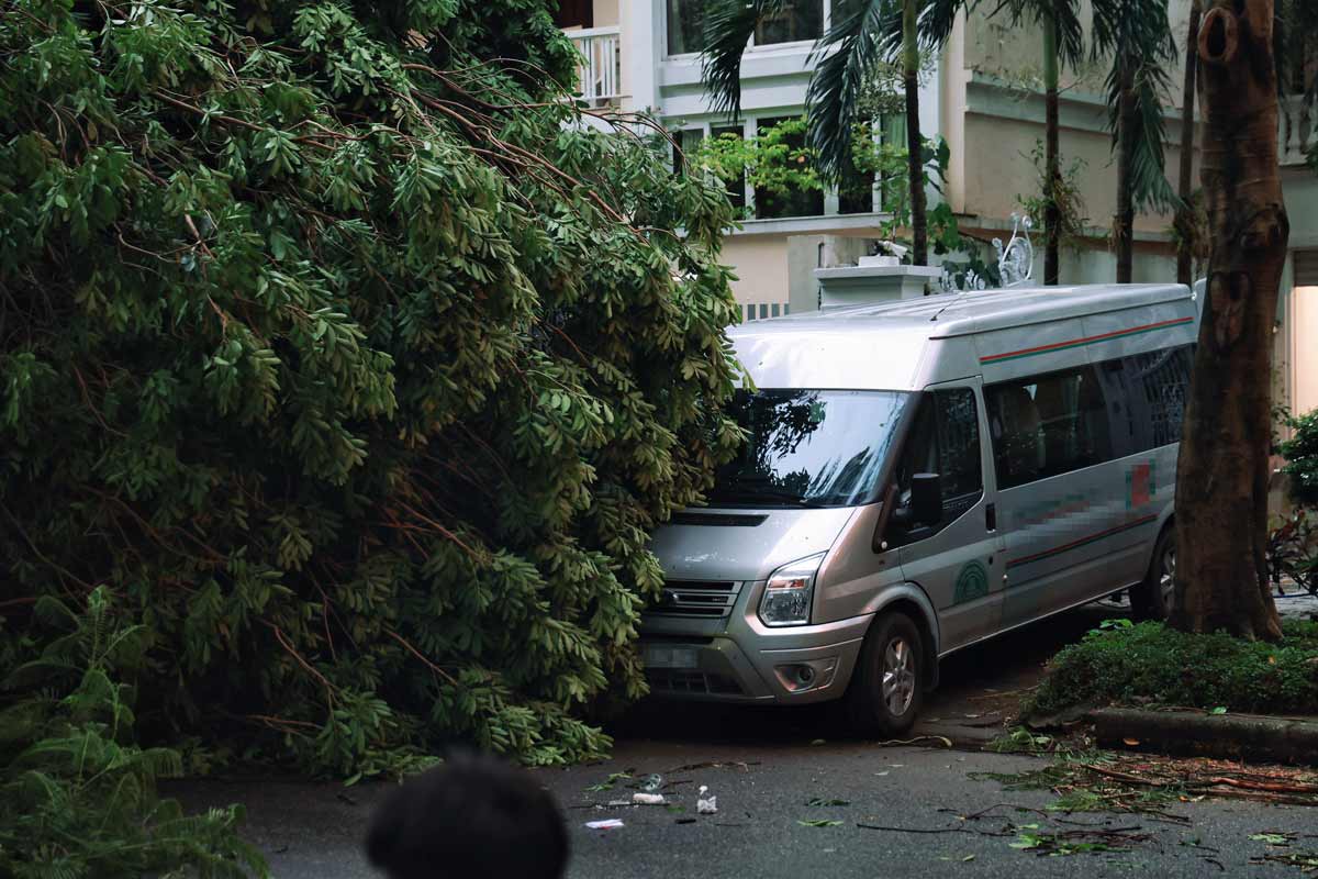 About 50 meters away, a 16-seat car was also hit by a falling tree.