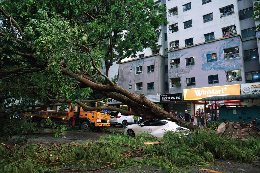 Ghi nhận tại khu vực Linh Đàm, một xe ô tô bị cây đè trúng sau trận mưa giông.