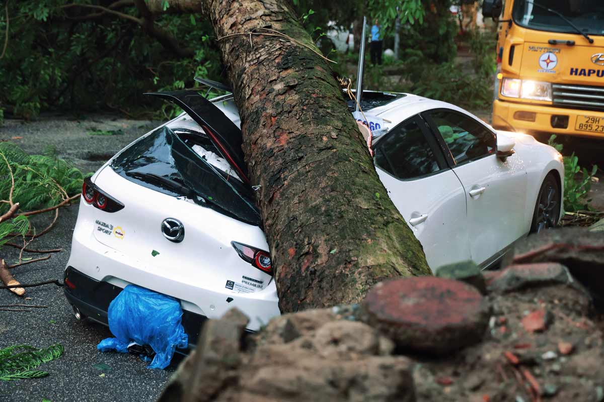 A large tree fell and crushed the back of the car. After the rain stopped, authorities were on hand to cut and collect the fallen tree to clear the road.