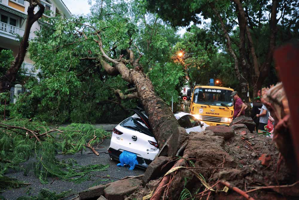 According to local residents, at around 3:00 p.m. this afternoon, after about 20 minutes of rain, a tree tilted and fell on a resident's car parked there. Luckily, there was no one in the car.