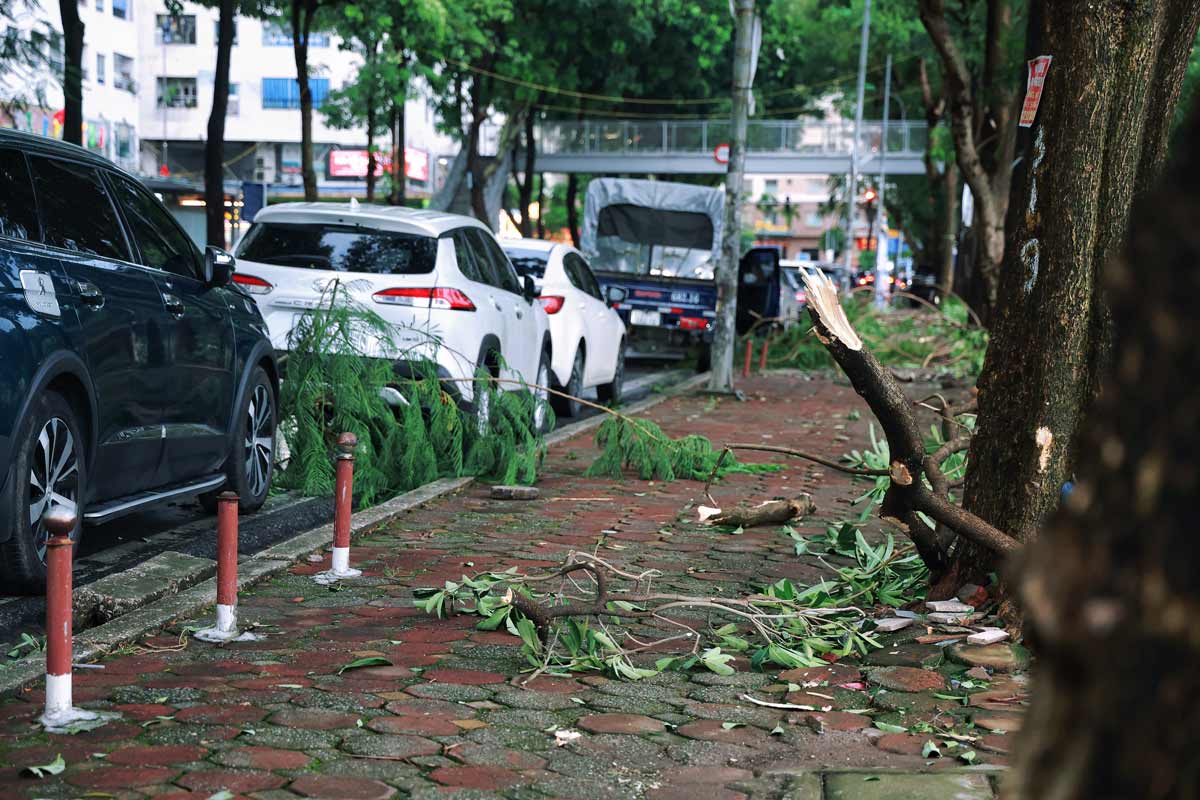 Nhiều cành cây gãy sau trận giông chiều nay.