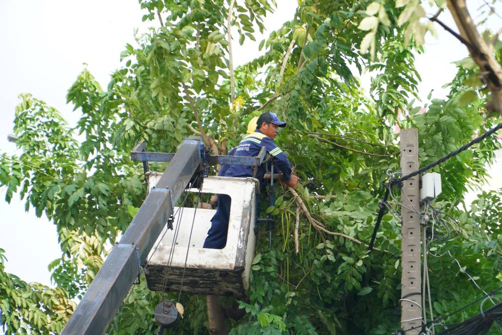 The Department of Construction requires functional forces to be ready to respond and coordinate closely to quickly handle any incidents related to fallen trees, especially in areas such as residential areas, office buildings, schools, hospitals and public works.