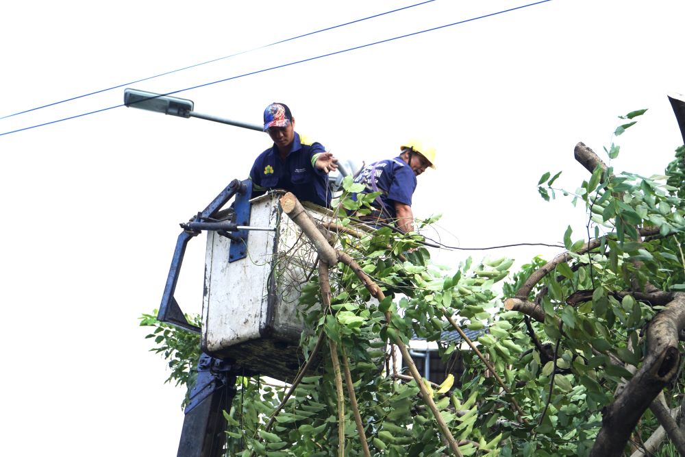 According to the report of the Department of Construction sent to the People's Committee of Ho Chi Minh City on September 5, in response to the complicated developments of storm No. 3 (storm Yagi) which is likely to cause heavy rain and strong winds in the area, the Department of Construction has just directed the Technical Infrastructure Management Center, districts and Thu Duc City to urgently deploy response measures, focusing on checking and pruning trees.